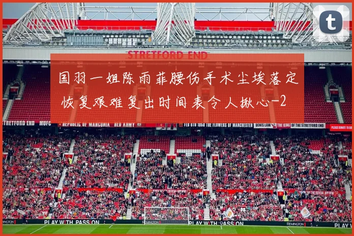 国羽一姐陈雨菲腰伤手术尘埃落定 恢复艰难复出时间表令人揪心